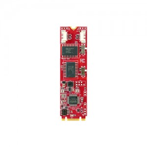 ماژول شبکه صنعتی اینودیسک INNODISK EGUC-F2S3 M.2 2280 to Dual CAN FD Module